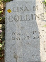 Lisa M. Collins Lisa M. Collins