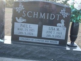 Lisa M. Schmidt Lisa M. Schmidt
