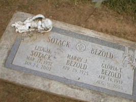 Lisa M Sotack