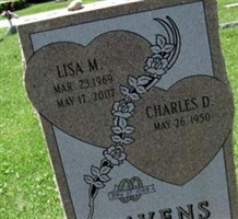 Lisa Mae Jones Havens Lisa Mae Jones Havens