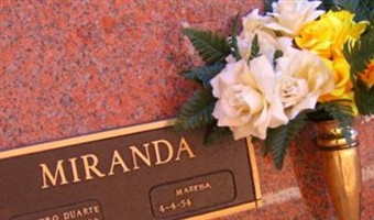 Lisandro Duarte Miranda