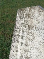 Lithea M. Strange