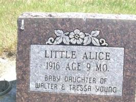Little Alice Young