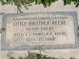 Little Brother Reeve
