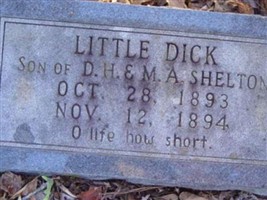 Little Dick Shelton Little Dick Shelton