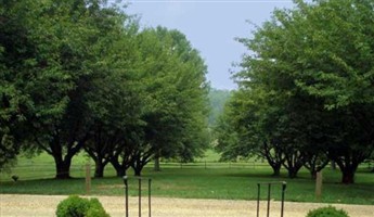 Little Fork Burying Grounds