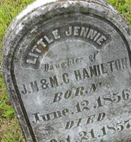Little Jennie Hamilton