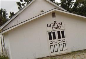 Little Vine Cemetery