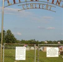 Little Vine Cemetery