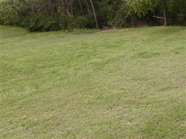 Littrell Family Cemetery (Defunct)