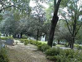 Live Oak Cemetery