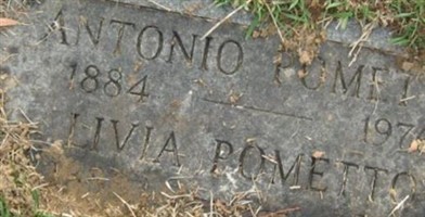 Livia Pometto Livia Pometto