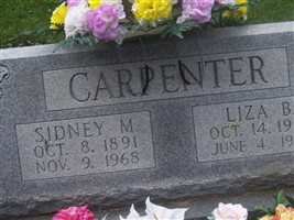 Liza Bell Calhoun Carpenter Liza Bell Calhoun Carpenter