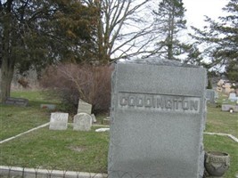 Liza Coddington Liza Coddington