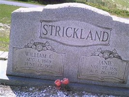 Liza Jane "Janie" Smith Strickland Liza Jane "Janie" Smith Strickland