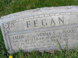 Lizzie A Fegan