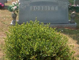 Lizzie Bobbitt