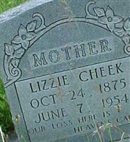 Lizzie Cheek
