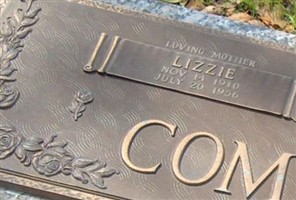 Lizzie Commander Lizzie Commander