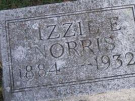 Lizzie E Wetherell Norris