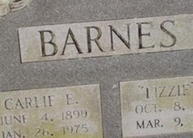 Lizzie M. Colson Barnes