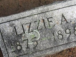 Lizzie Steadman