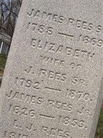 L.J. Rees