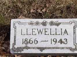 LLewellia Layer