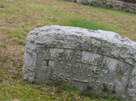Llewellyn Whitfield Boyce