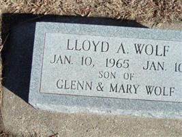 Lloyd Allen Wolf