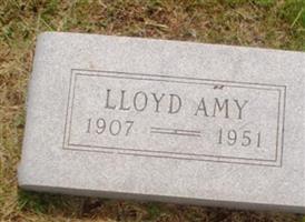 Lloyd Amy