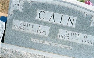 Lloyd Dallas "L.D." Cain