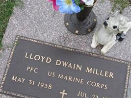 Lloyd Dwain Miller