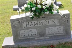 Lloyd Hammock Lloyd Hammock