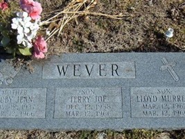 Lloyd Murrell Wever