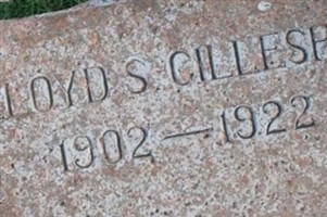 Lloyd S Gillespie