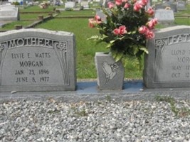 Lloyd Thomas Morgan Lloyd Thomas Morgan