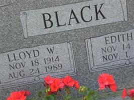 Lloyd Woodward Black