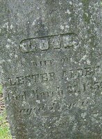 Lois Alden Lois Alden