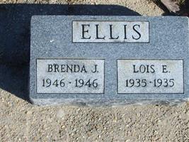 Lois E. Ellis