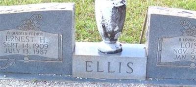 Lois M Ellis