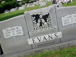Lois M Evans