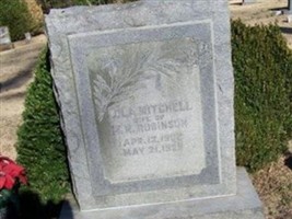Lola Mitchell Robinson