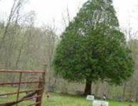 Long Run Cemetery