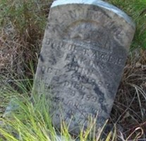 Lonney May Jenkins Lonney May Jenkins
