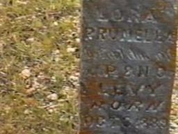 Lora Prunella Levy