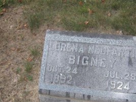 Lorena Anna Neufarth Bigney Lorena Anna Neufarth Bigney