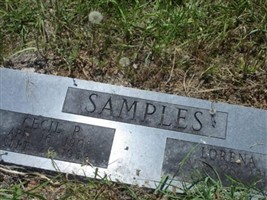 Lorena Samples