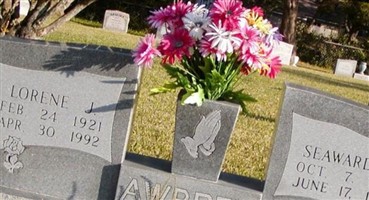 Lorene J Awbrey