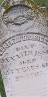 Lorenzo Don Driggs